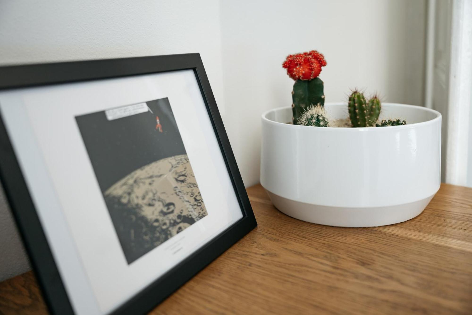 Comfortable And Cosy Apt A Few Steps From Dancing House And Naplavka Dance Praga Zewnętrze zdjęcie